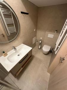 a bathroom with a sink and a mirror and a toilet at Crystal Lakes Apartment in Plitvička Jezera