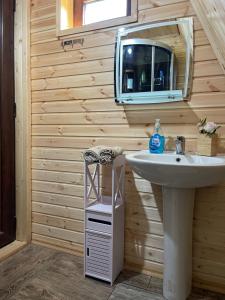 a bathroom with a sink and a mirror at River View Cabin Kazbegi in Kazbegi +57 photos