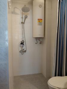 a bathroom with a shower with a toilet and a shower at Студиа Мансарда Ненови in Pomorie +16 photos