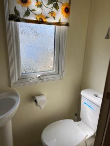 a bathroom with a toilet and a window with flowers at Cocos haven in Ballantrae