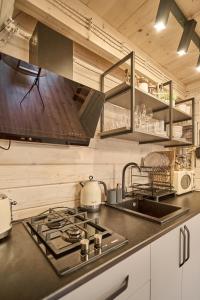 a kitchen with a stove and a sink at ULISI house in Verkhniy Yasenov
