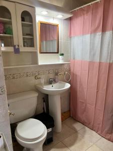 a bathroom with a white toilet and a sink at DEPARTAMENTO aV BULNES in Punta Arenas