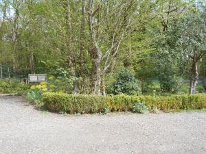 a garden with flowers and a bench in the background at Acorns in Wavehorne +7 photos