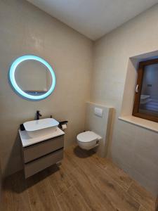 a bathroom with a toilet and a sink and a mirror at Stone house Anic in Vela Luka +20 photos