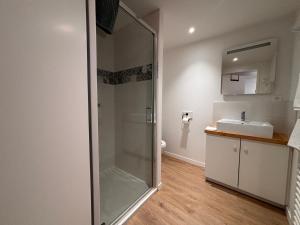 a bathroom with a shower and a sink at Studio Le Dolmen Château-Larcher Arrivée autonome in Château-Larcher