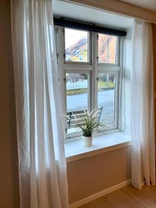 a window with a potted plant on a window sill at Villa Holmen, ground floor apartment in Balestrand +10 photos