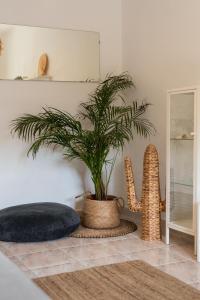 a plant in a room with a pillow and a cactus at Sesimbra Cozy House BBQ & Terrace - MADA HOUSE's in Sesimbra