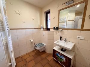 a bathroom with a sink and a toilet and a mirror at L&L Skaters Home in Langenlipsdorf +32 photos