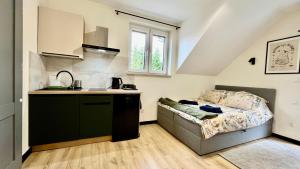 a kitchen with a couch and a sink in a room at Pokoje nad Jeziorem Solina in Solina