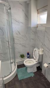 a bathroom with a toilet and a shower and a sink at Two-bedroom house with a workspace in Basildon in Nevendon