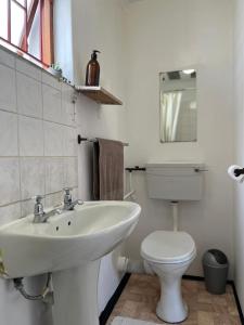 a bathroom with a white sink and a toilet at Zoete Inval Travelers Lodge-Backpacker Loft in Hermanus +55 photos