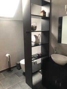 a bathroom with a toilet and a sink at Ferienwohnung Untersee in Öhningen +8 photos