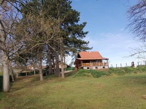 a house on top of a hill with trees at Suncani breg in Ljig