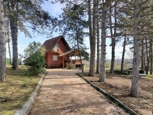 a house in the woods with a driveway at Suncani breg in Ljig