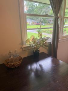 a table with a potted plant and two water bottles at Palace priv april in Decatur
