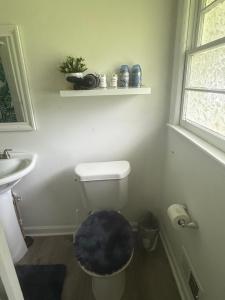 a bathroom with a toilet with a rug on the floor at Palace priv april in Decatur +1 photo