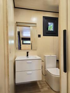 a small bathroom with a toilet and a sink at Camping Costa Dorada Tiny Amaia in Canet de Mar +13 photos