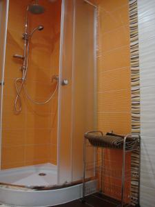 uma casa de banho com um chuveiro e um lavatório. em Šenk u Švejka em Ústí nad Labem