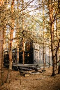 a house in the middle of some trees at Domek SzumiSosna2 in Życiny