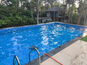 a large blue swimming pool with a hose at The Cozy Clouds Hill Stay in Napoklu