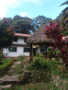 a house with a thatched roof at Villa Jucumarini in Coroico
