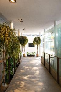 a hallway with potted plants in a building at Hotel Olimpica Boutique in Mexico City