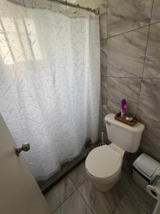 a bathroom with a toilet and a shower curtain at Mi Casa Modernista cerca del AIFA in Santa Cruz Tecamac +25 photos