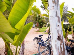 a bike parked on a dirt road next to a tree at Camping Cala d'Ostia in Pula