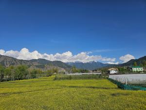 a field of green grass with mountains in the background at Hotel Riverwood Kokernag in Wāngom