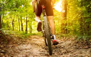 a person riding a bike on a trail in the woods at Logis Hôtel Restaurant U'Fredy in La Clusaz