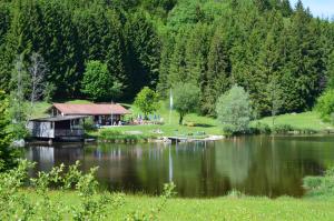 a cabin next to a body of water with trees at Appartement Vogelnest in Oy-Mittelberg +24 photos