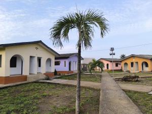 a palm tree in front of a row of houses at Geobajas Hotels in Imushin