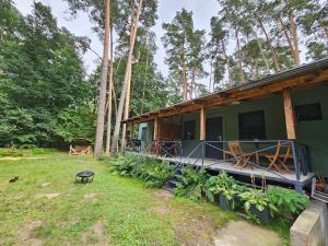 a green house in the middle of a forest at Apartmány u Mravence in Starý Petřín