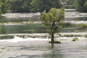 a tree in the middle of a river at Kuća za odmor Komić in Smrdan +4 photos