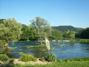 a view of a river with trees and water at Kuća za odmor Komić in Smrdan