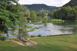 a view of a river with grass and trees at Kuća za odmor Komić in Smrdan