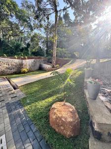 a small tree in a rock in a yard at Blue Rock Retreat in Belihuloya +10 photos