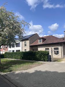 a large brick house with a tree in front of it at SomeTimes in Roeselare