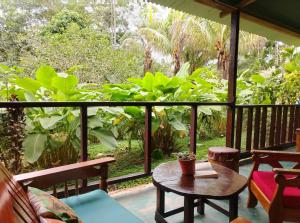 a screened porch with a table and chairs and trees at Musas Garden Lodge Tambopata in Puerto Maldonado