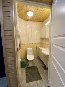 a bathroom with a toilet and a sink at VILLENKUJA 1 (3 mh ) in Tahkovuori +8 photos