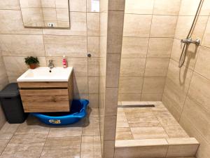 a bathroom with a shower with a sink and a toilet at Nagyerdő - Simonyi út in Debrecen +96 photos