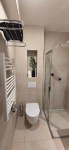 a bathroom with a toilet and a shower at Hotel Restaurant 't Trefpunt in Made