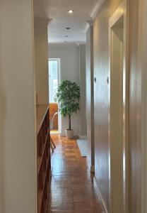 a hallway with a potted plant in the middle of a room at Aura Campo de Ourique - Near the Tram 28 stop in Lisbon