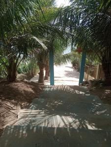 a shady path with palm trees and blue poles at Renascer in São Pedro da Aldeia