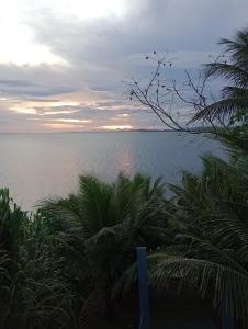 a view of the ocean with palm trees and a blue cross at Renascer in São Pedro da Aldeia
