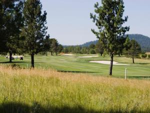 a golf course with trees and a green at 61 Meadow House in Sunriver