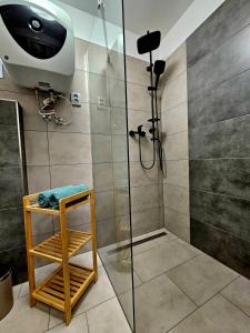 a shower with a glass door in a bathroom at Apartmány u Mravence in Starý Petřín +78 photos