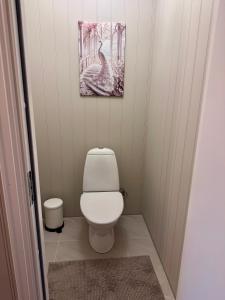 a bathroom with a toilet and a painting on the wall at Trollveggen in Åndalsnes