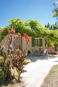 a house with a plant in front of it at Joya's Little Farm Cottage in Svoronata