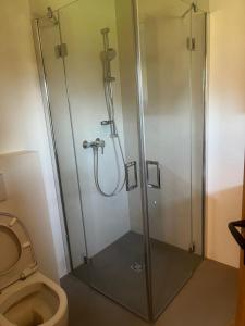 a shower stall in a bathroom with a toilet at Ferienwohnung MARTIN in Göfis
